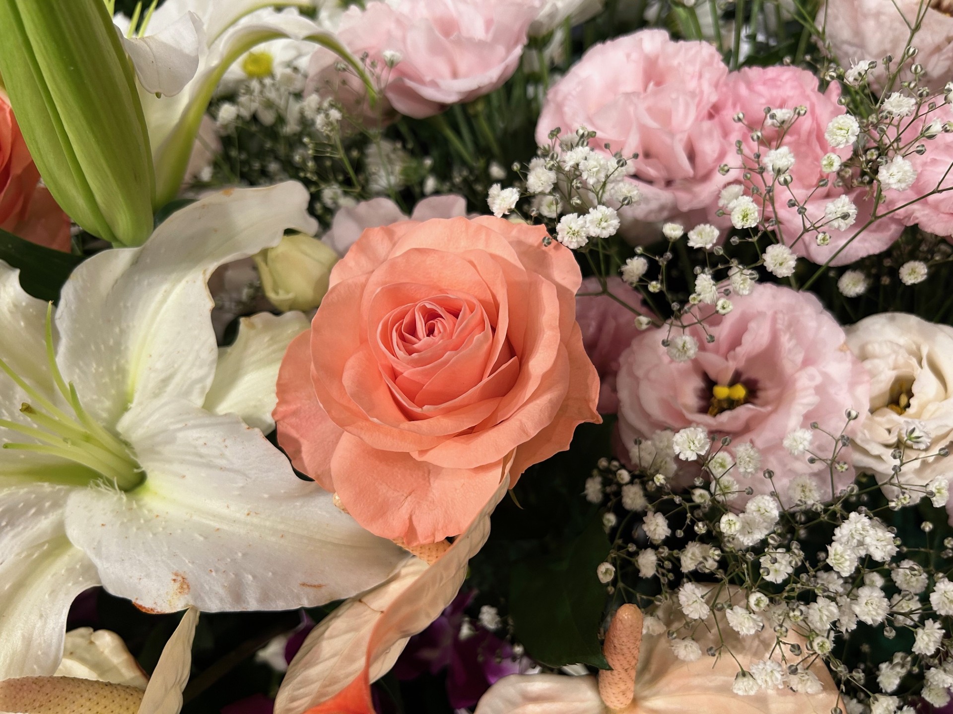 生花は季節を感じさせてくれます 生花は季節を感じさせてくれます